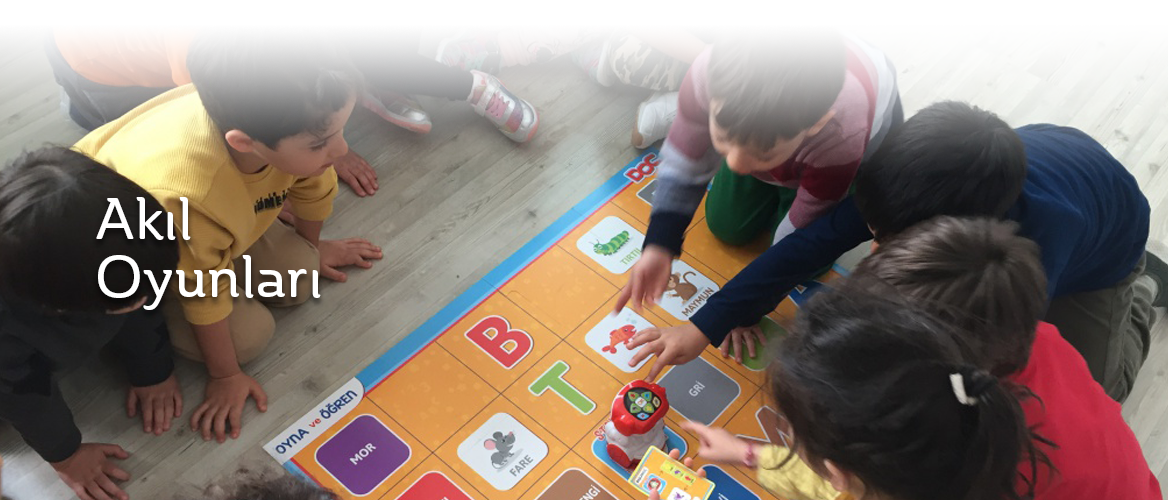 Akıl Oyunları